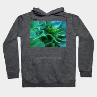 Sunflower Bud Hoodie